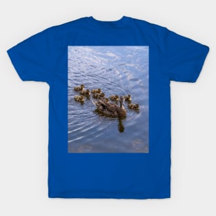 Mother Duck and Ducklings T-Shirt